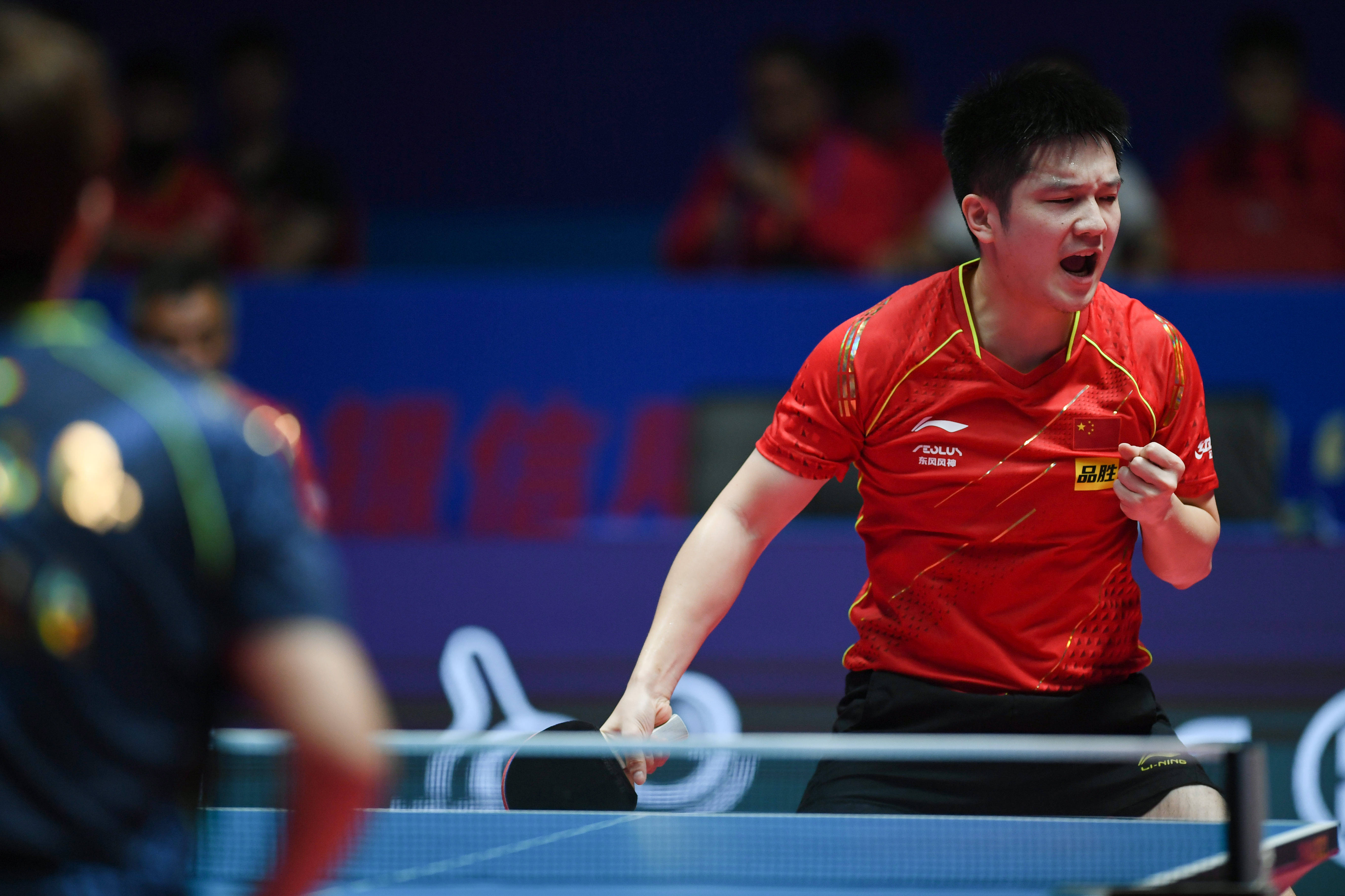 包含比利时乒乓球队力克法国乒乓球队，樊振东统治全场的词条
