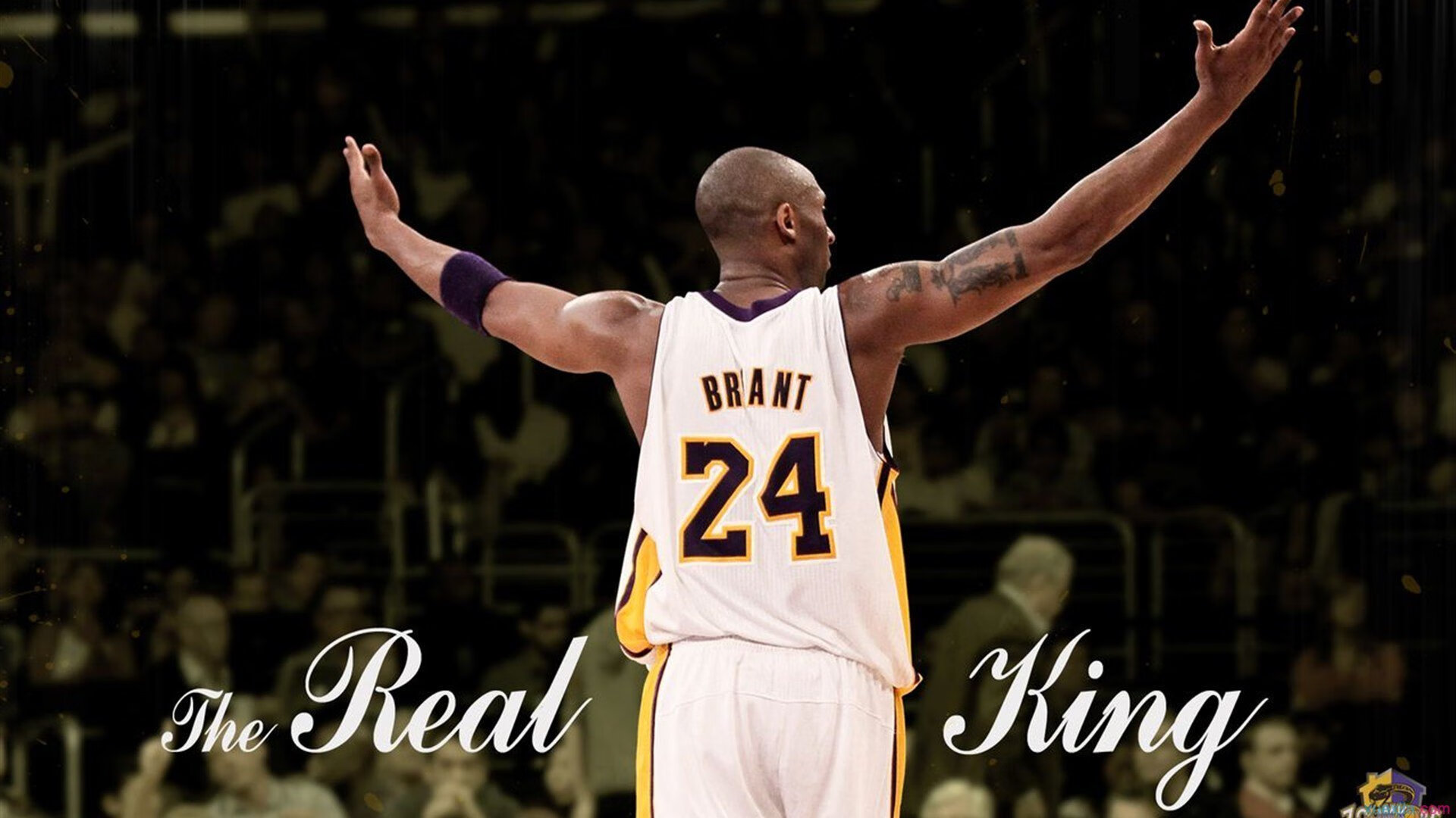 辽宁队对阵火箭，当东方铁骑遭遇美利坚重炮，伦纳德如何成为比赛唯一的标尺